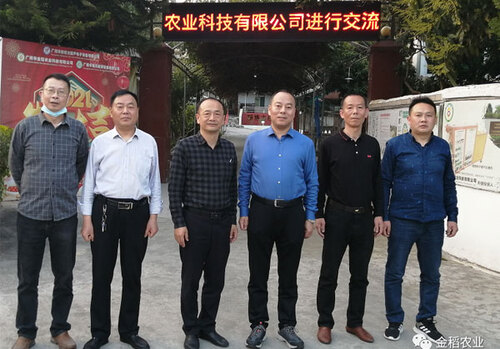 奥迪RS Q8 优惠方针 